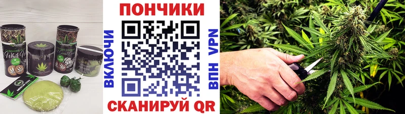 Cannafood марихуана  Купить закладки  Калининец 