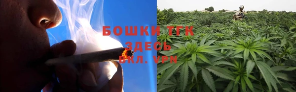 спайс Дмитриев