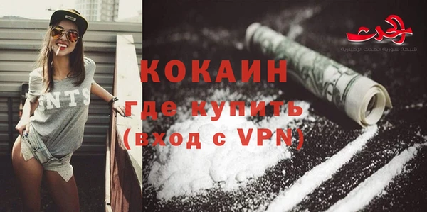 спайс Дмитриев