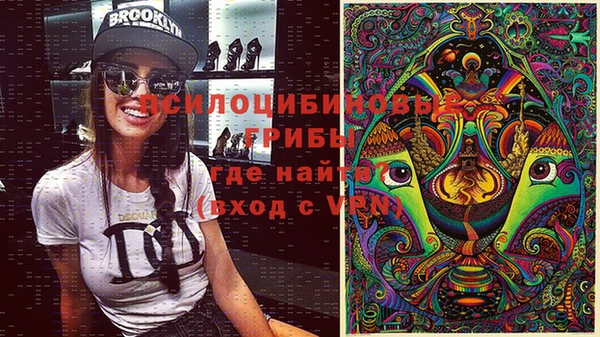 соль курить ск Дмитровск
